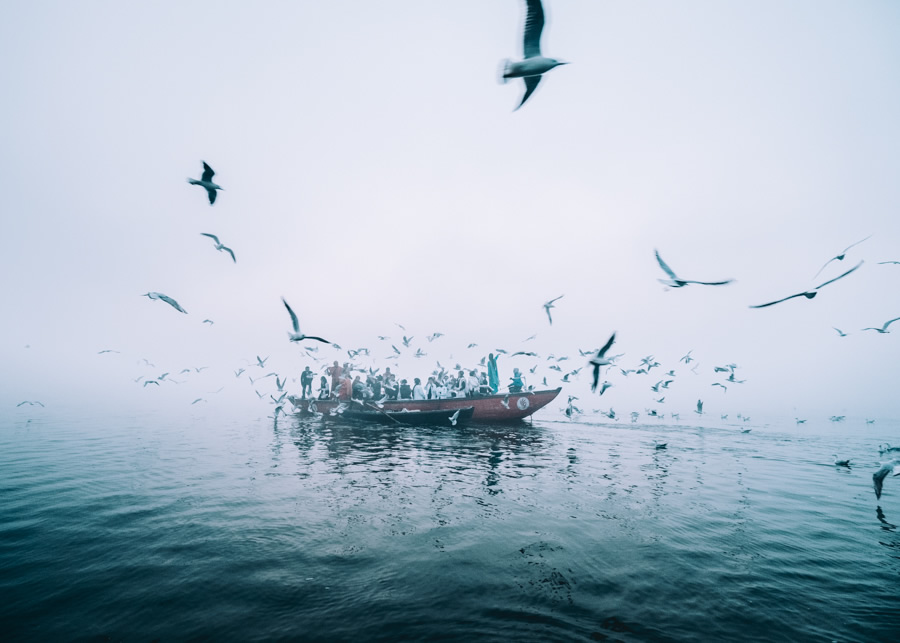 India-Varanasi-river-ganges-boat-tour-seagulls-Nathan-Brayshaw