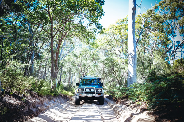 Moreton Island 4WD track, offroad