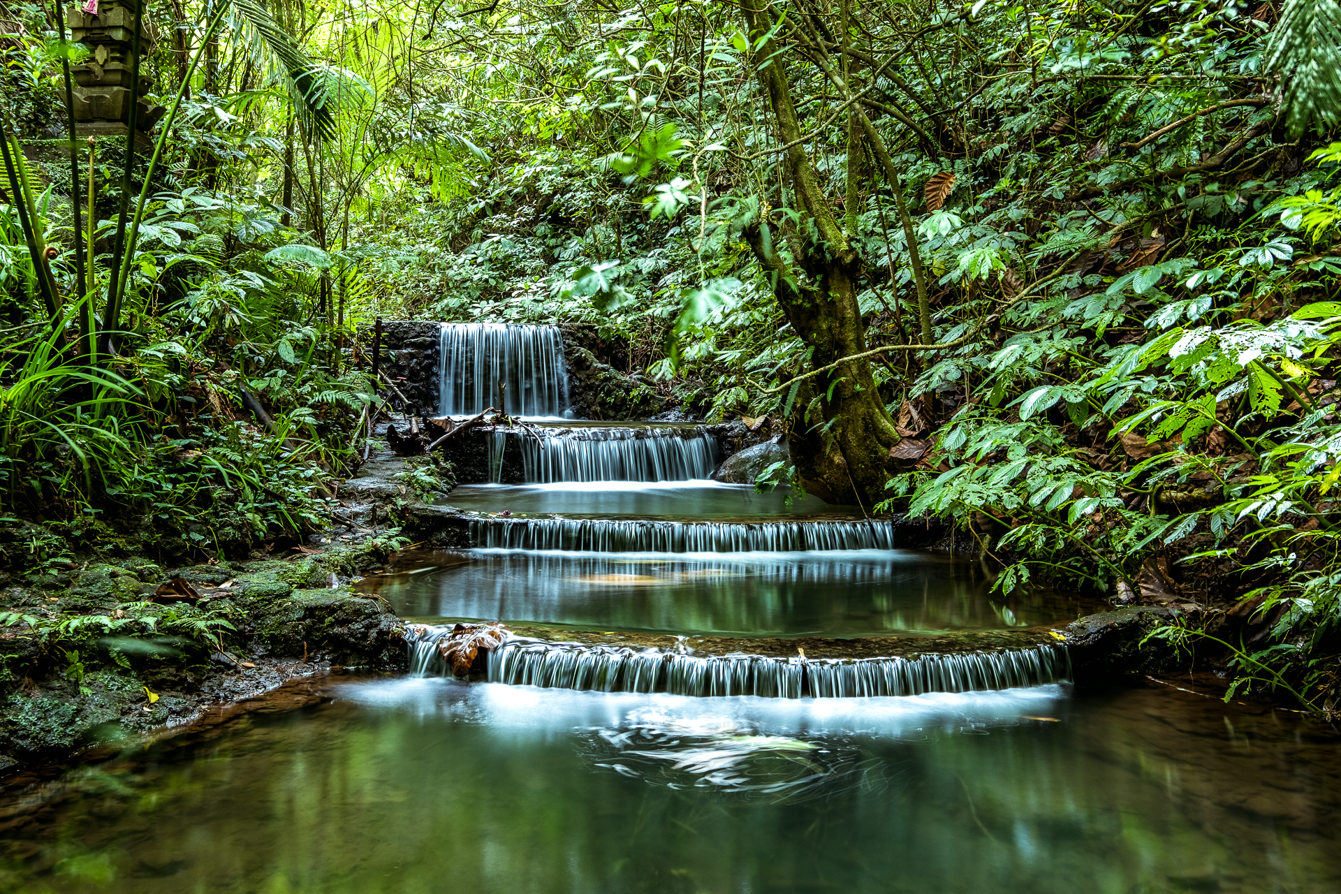 Jungle waterfall, tropical rainforest, Alassari Plantation, Eco Resort, Bali