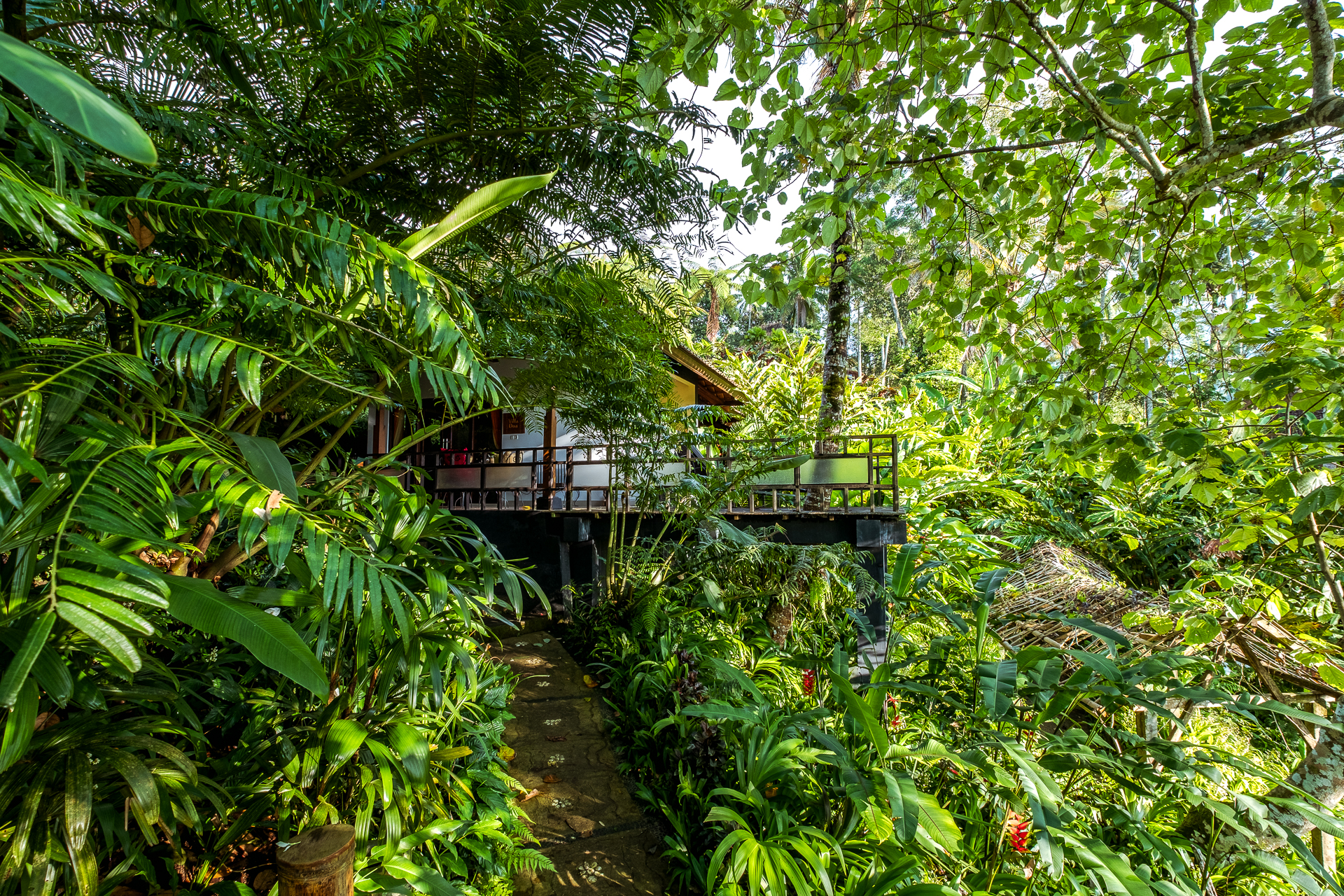 Alassari Eco Resort jungle bungalow, Bali, eco tourism, Indonesia, Nathan Brayshaw