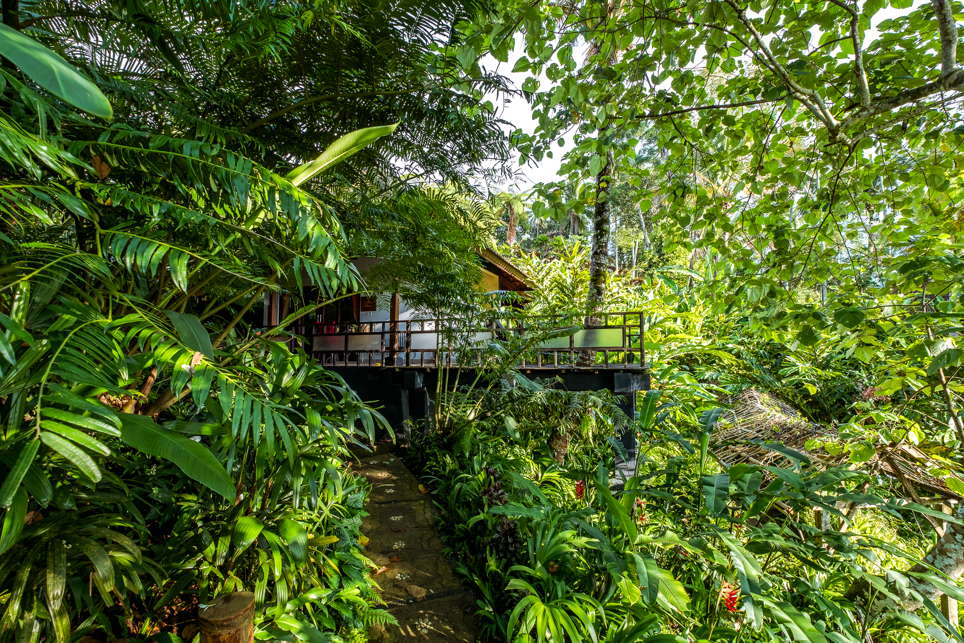 Alassari Eco Resort jungle bungalow, Bali, eco tourism, Indonesia, Nathan Brayshaw