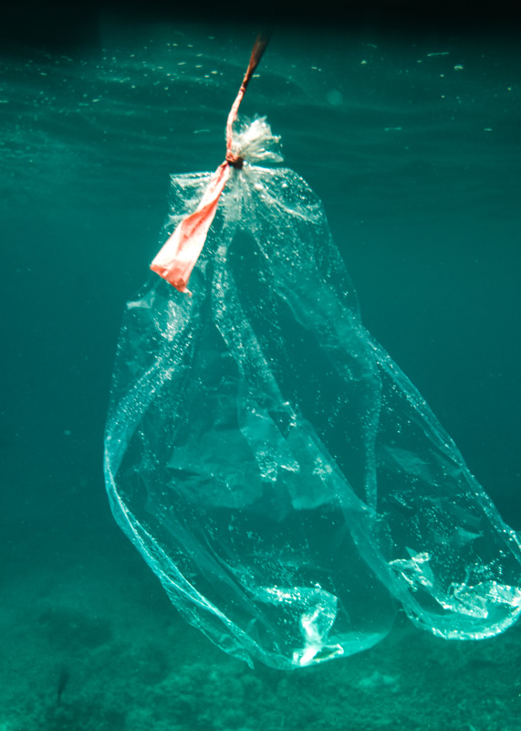 Bali, plastic bag, plastic in ocean, 