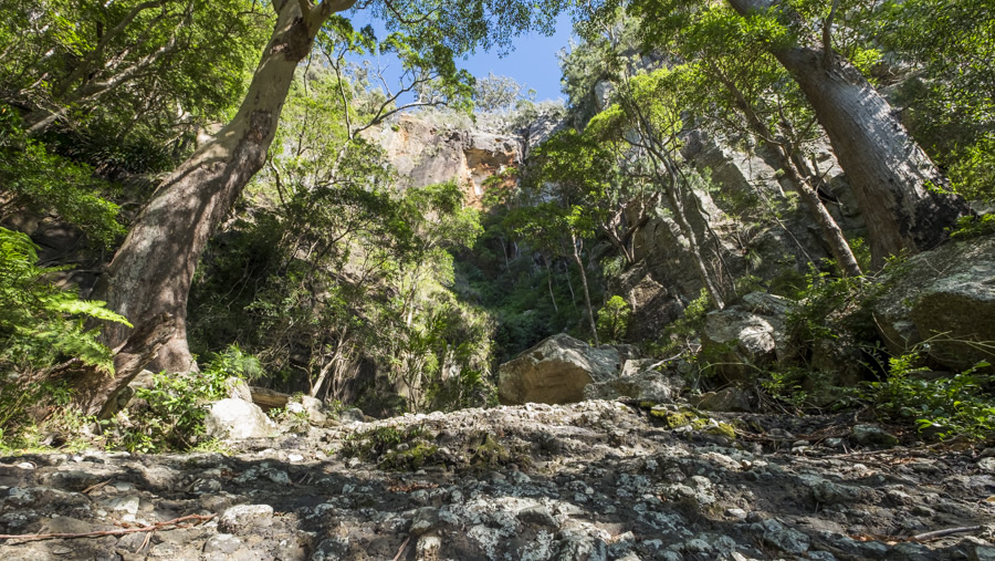 Bellbird Creek Waterfall Binna Burra Gold Coast