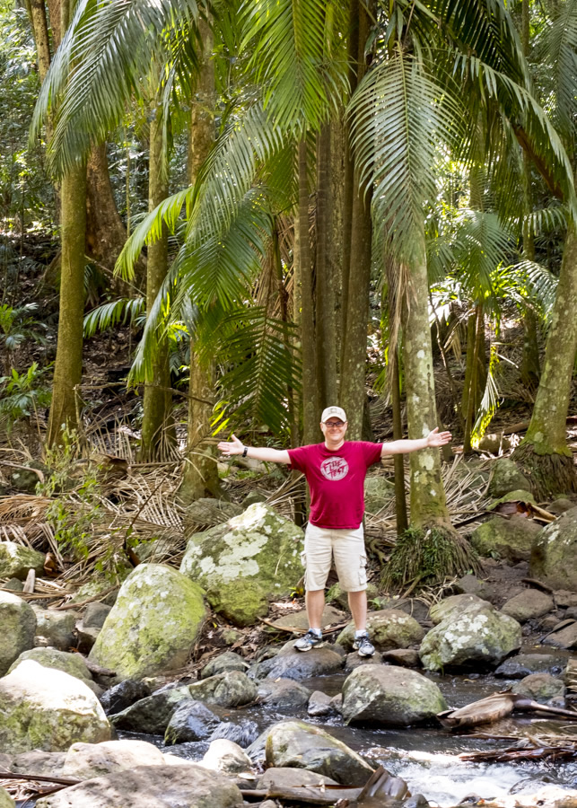 Waterfall, Curtis Falls, Mt Tamborine, Gold Coast,