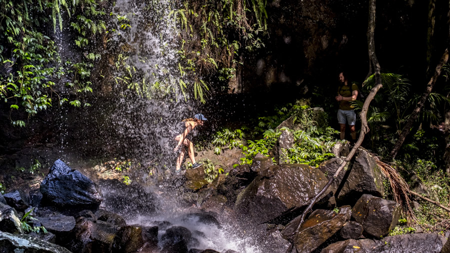 Waterfall, Curtis Falls, Mt Tamborine, Gold Coast,