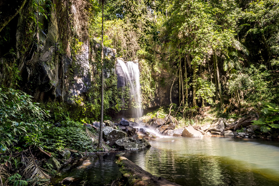 Waterfall, Curtis Falls, Mt Tamborine, Gold Coast,