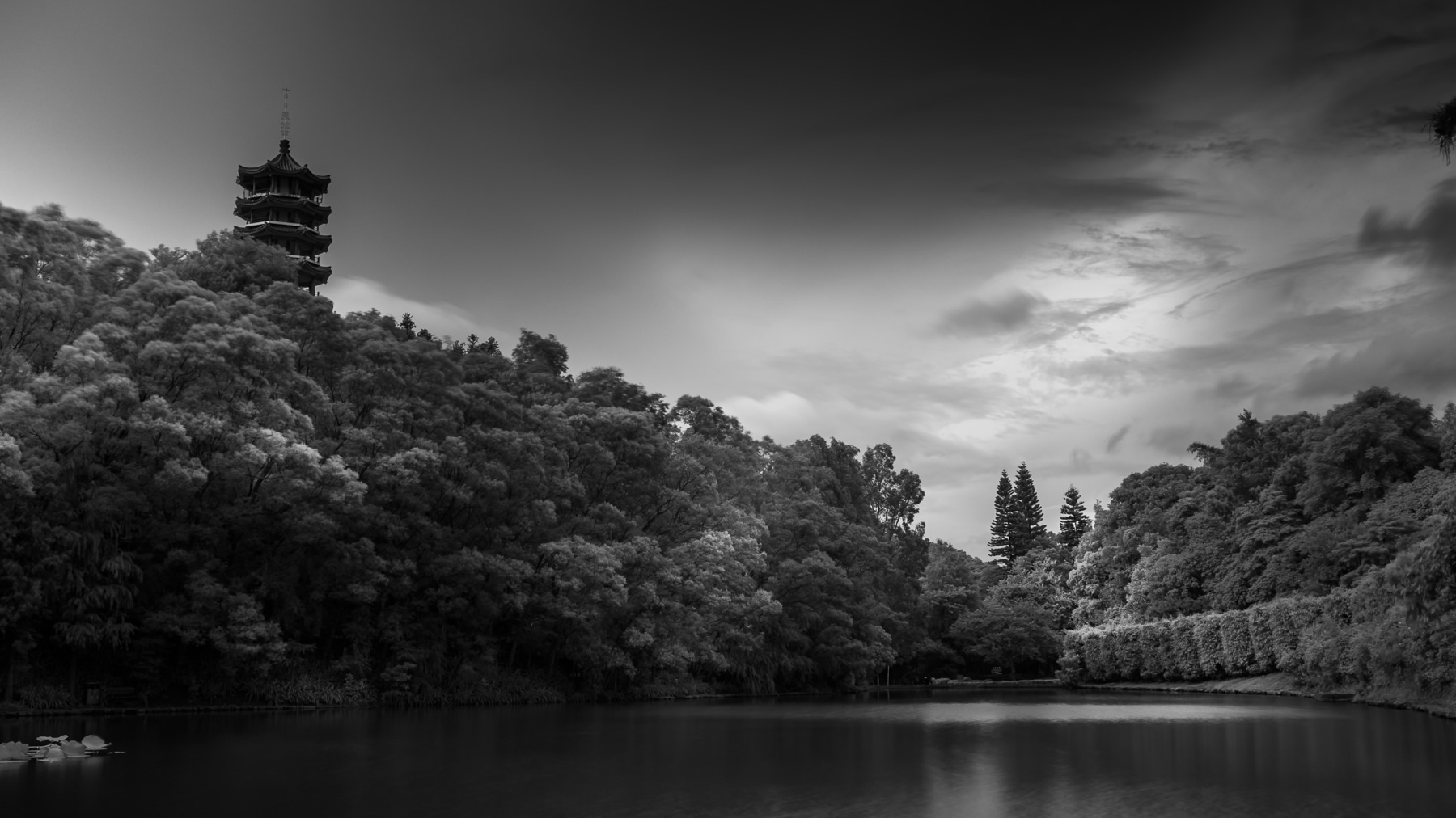 Xianhu Botanical Garden, Fairy Lake, Shenzhen, China