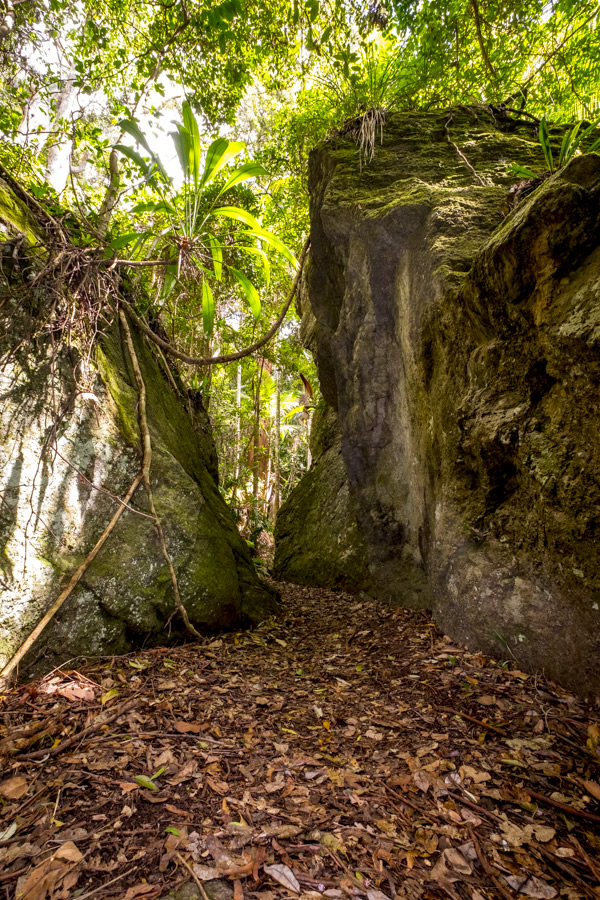 Kong Gong Rock, Lamington National Park, Gold Coast