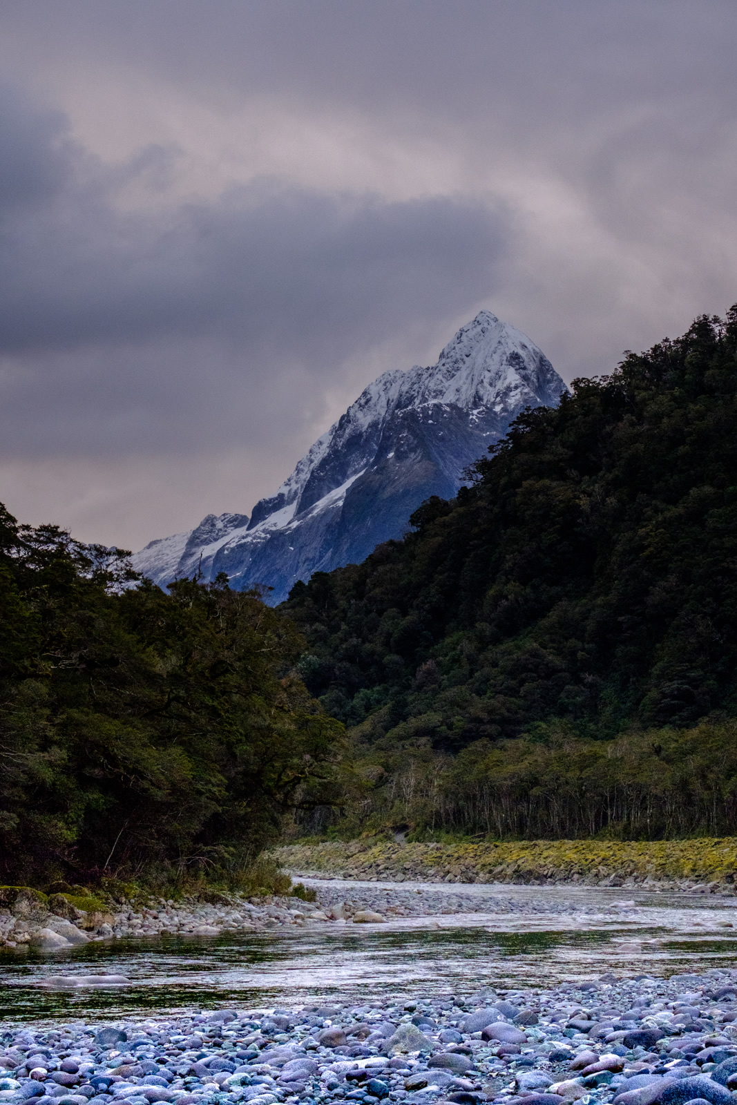 Cleddau River, Mitre Peak, Milford Sound Lodge, New Zealand,