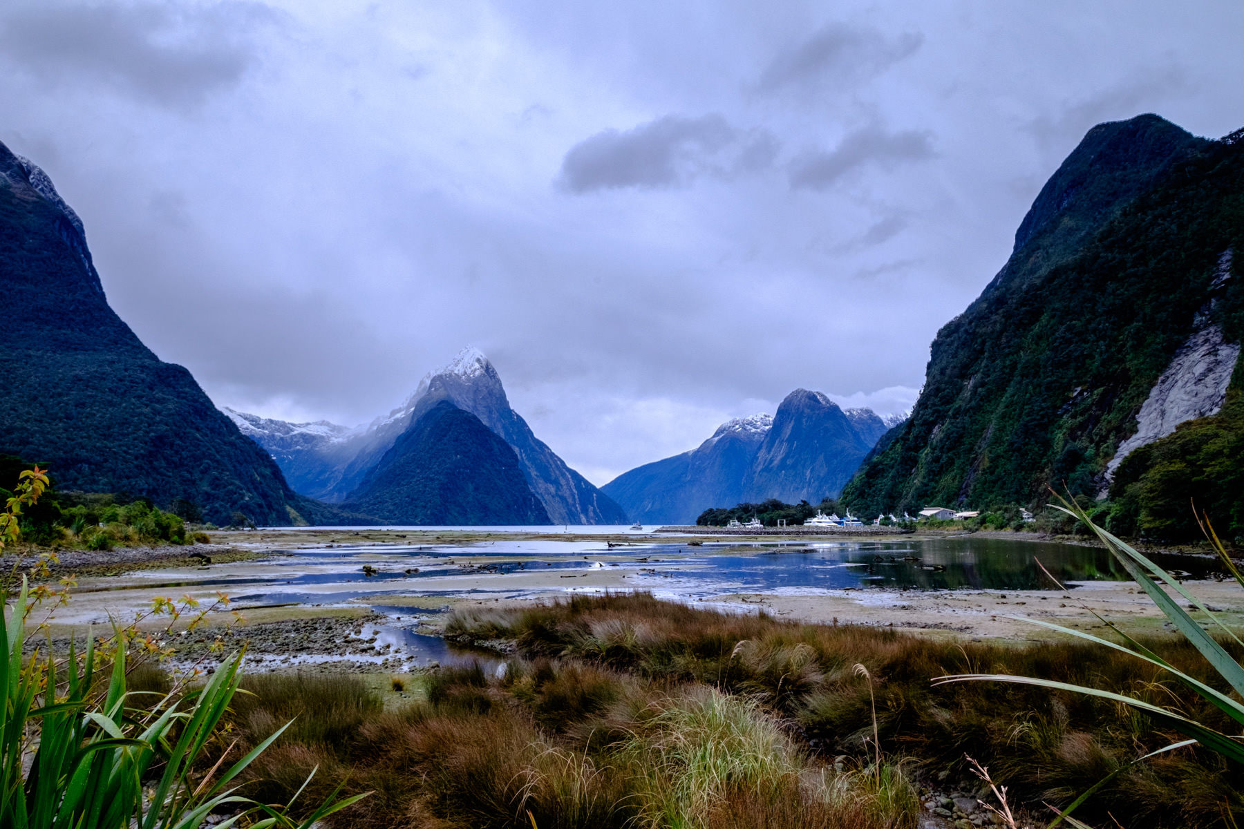 Milford Sound, harbour, new zealand,