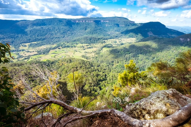 Lamington National Park Activities
