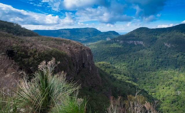 Numinbah-Valley-Lamington-National-Park-Binnold-Coast-bushwalking-hiking