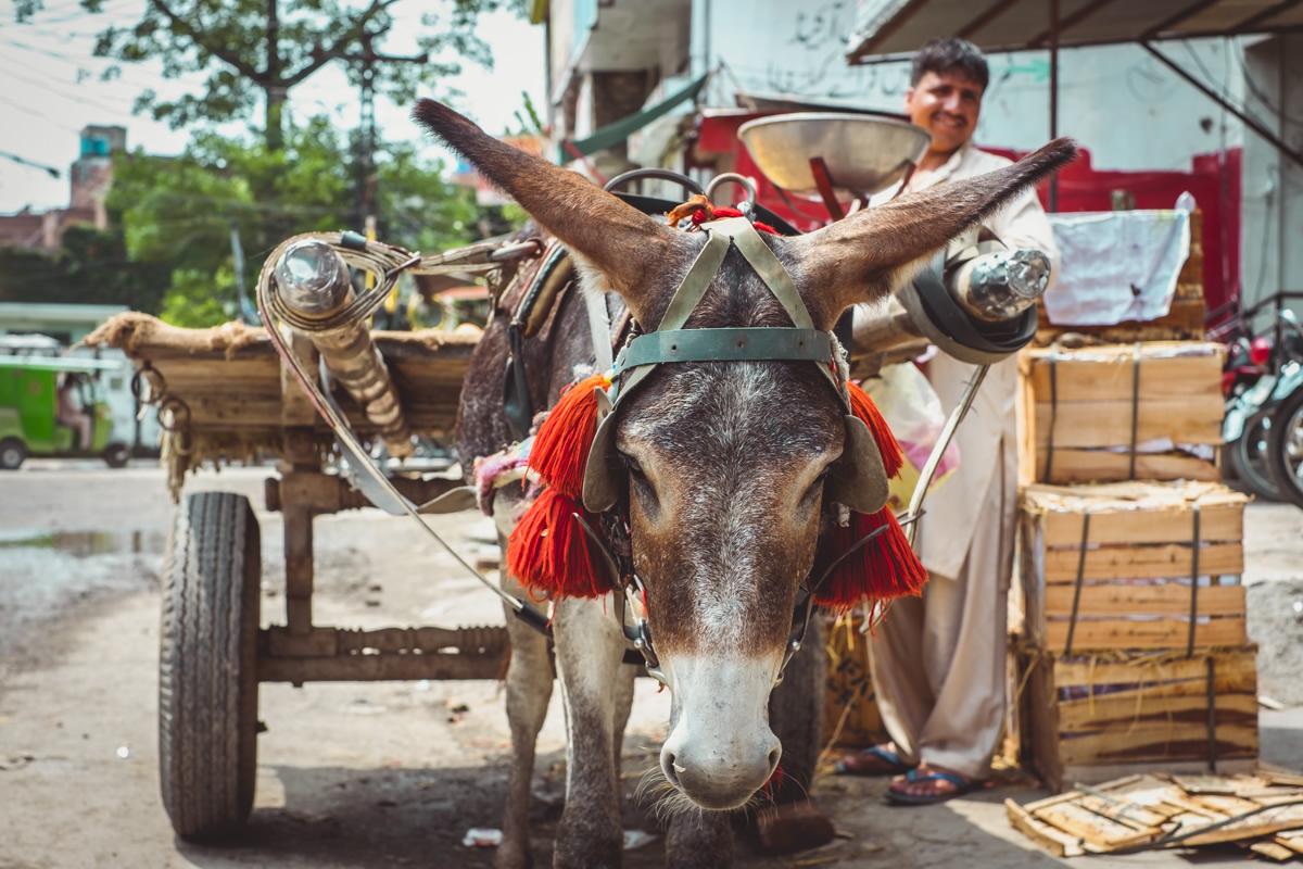 Pakistan, Lahore, travel photography, street photography, street portraits, nathan brayshaw,