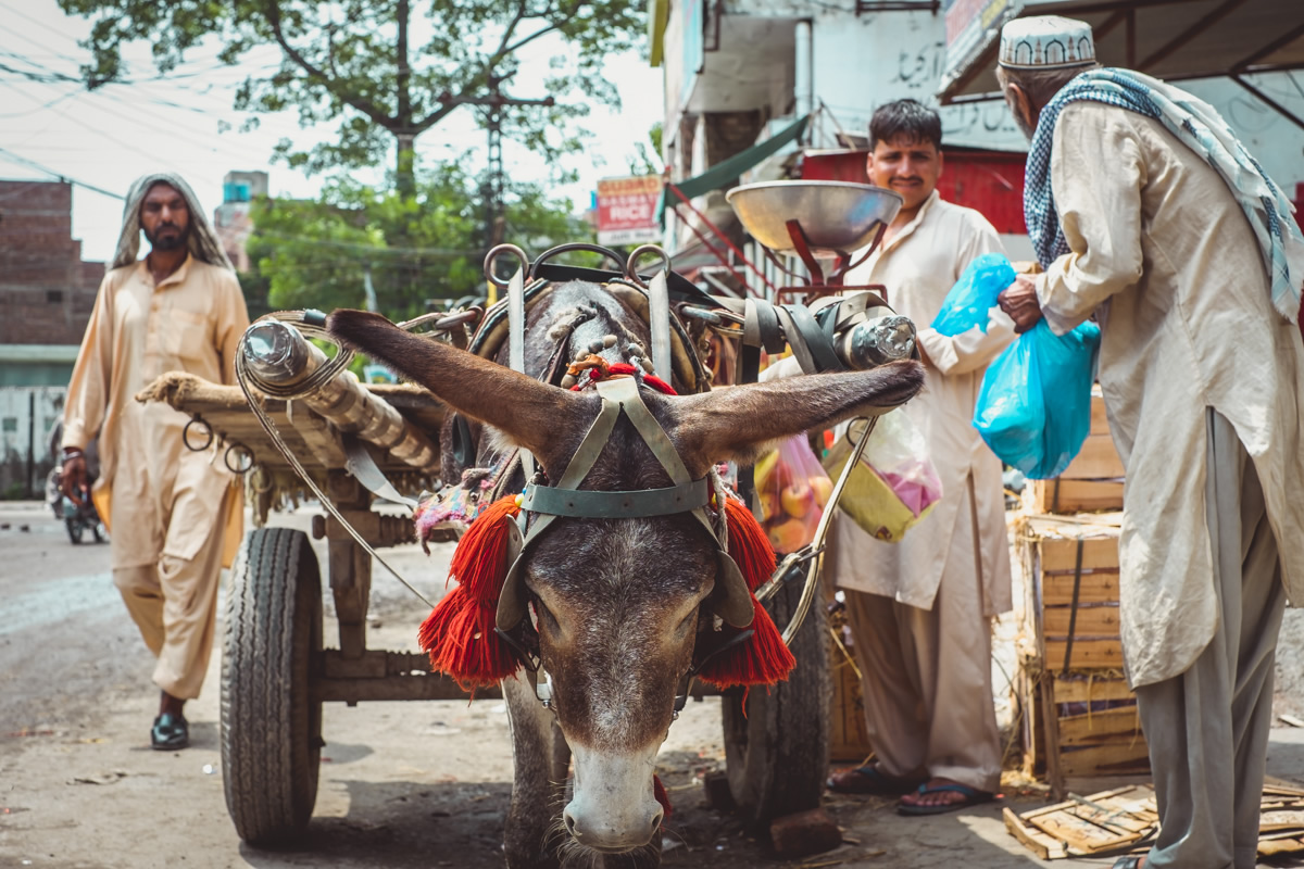 Pakistan, Lahore, travel photography, street photography, street portraits, nathan brayshaw,