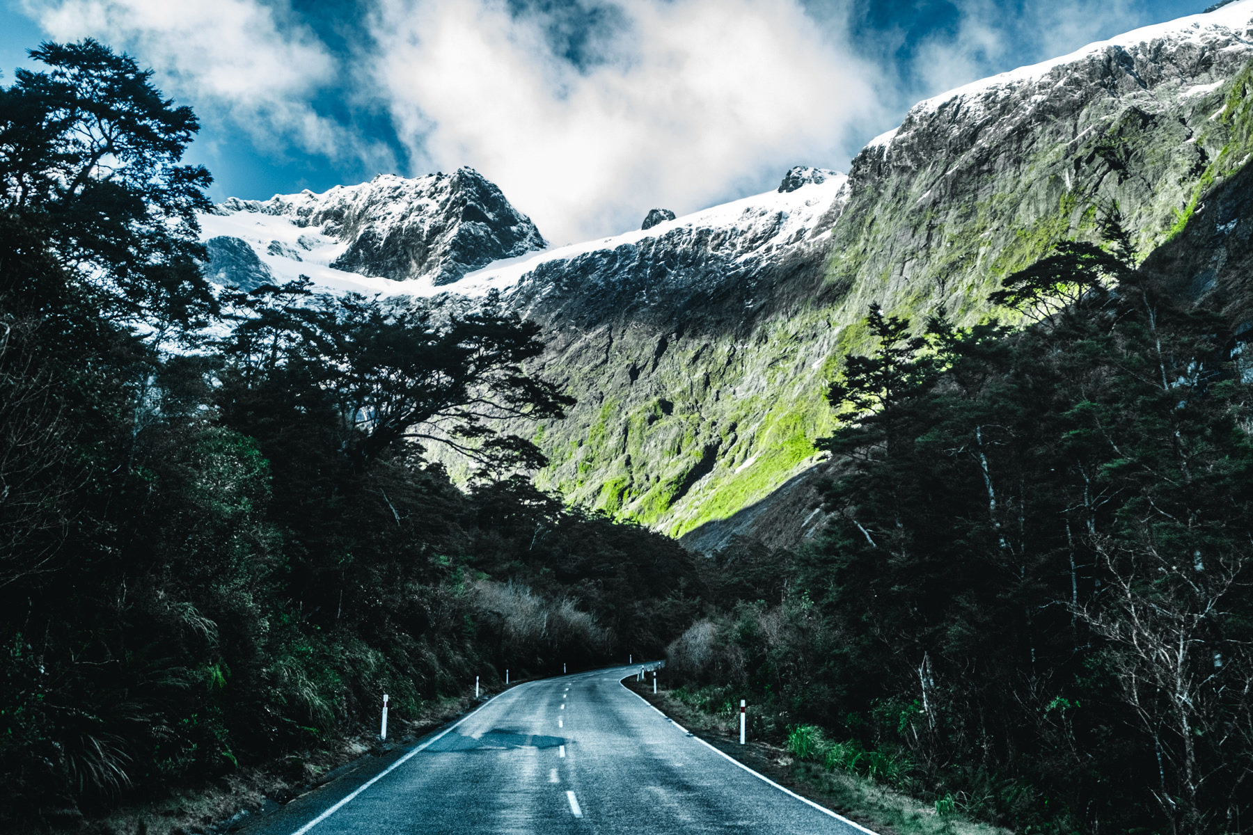 Milford Sound, road trip, New Zealand,