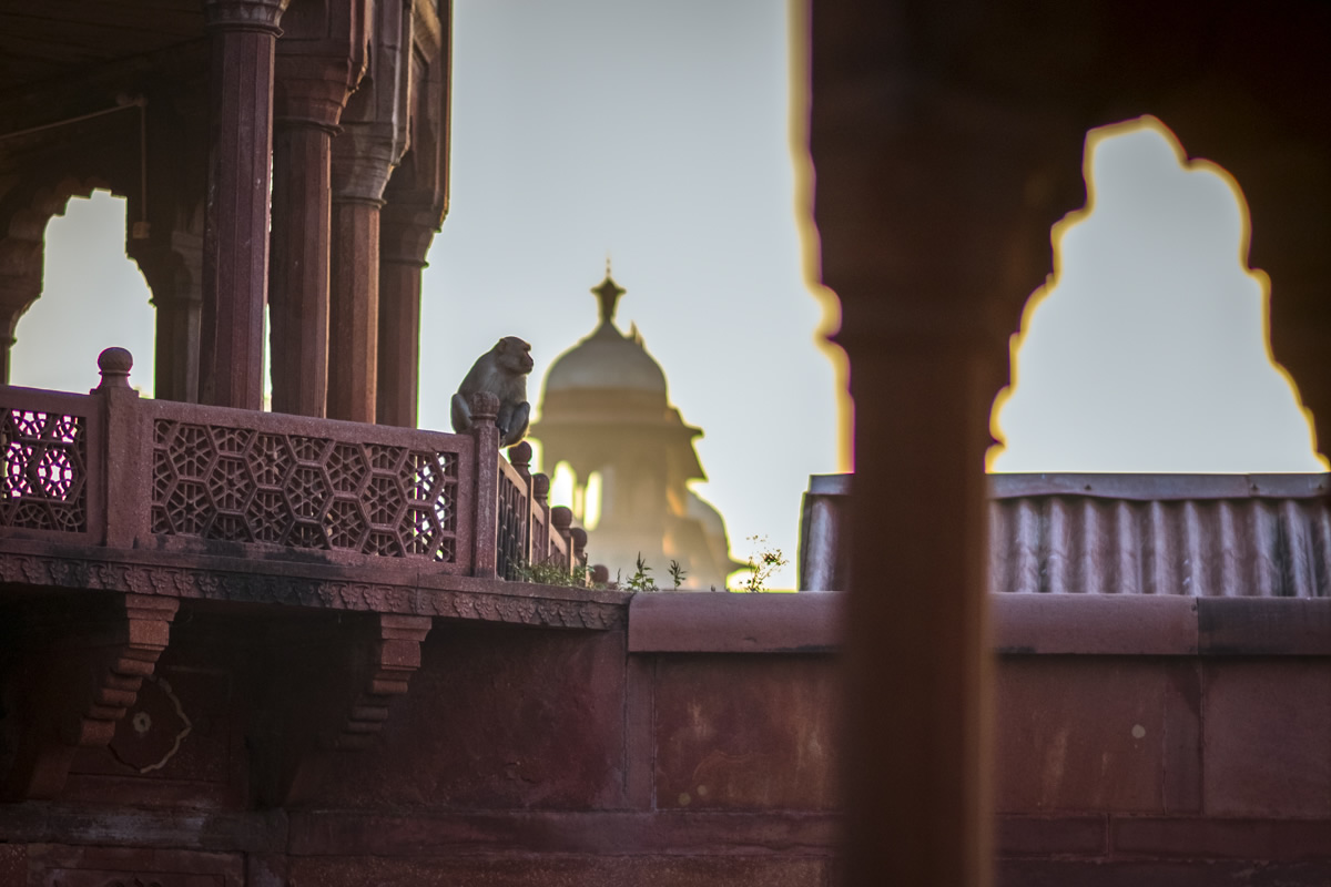 Taj Mahal, Agra, India, travel photography, Nathan Brayshaw, 