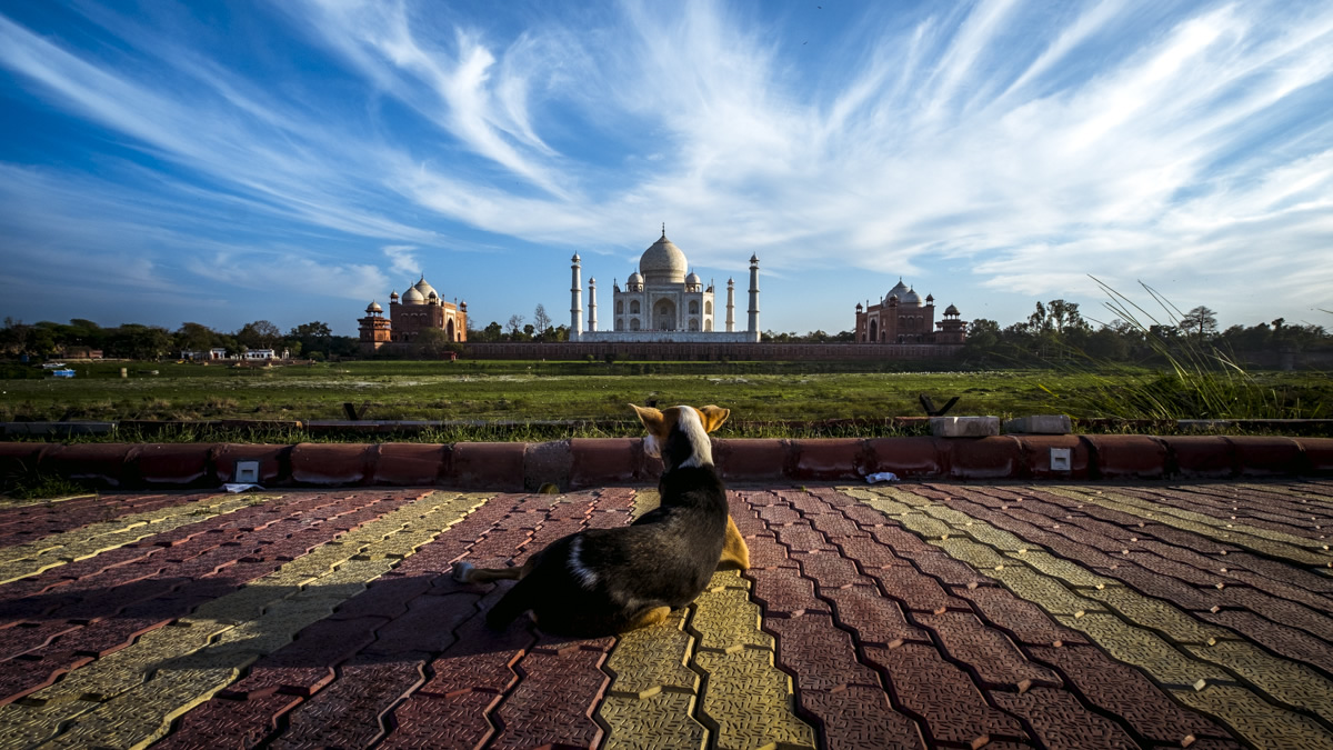 Taj Mahal, Agra, India, travel photography, Nathan Brayshaw, 