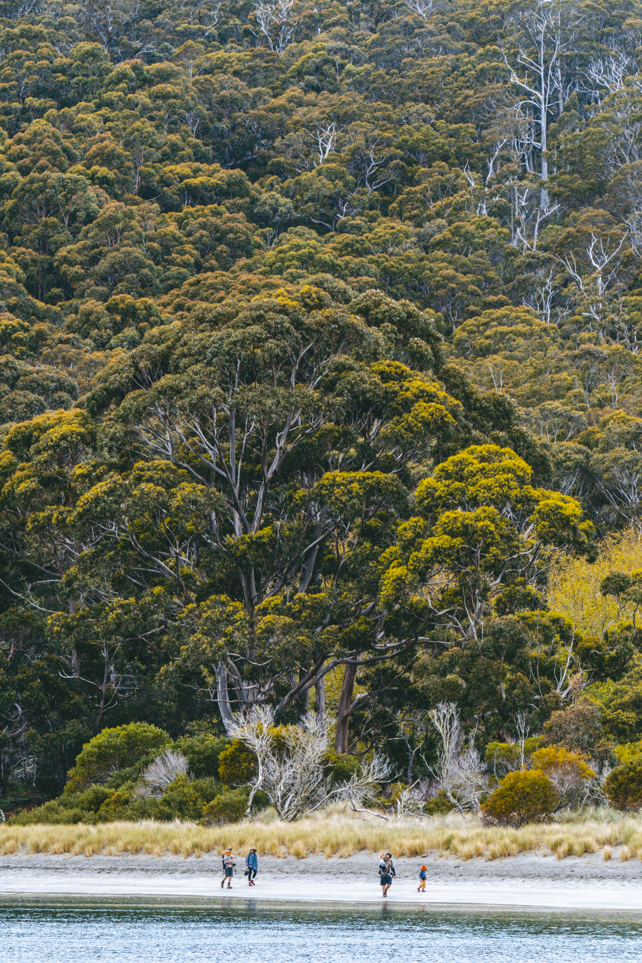 Beach_Tasman_National_Park_Bruny_Island