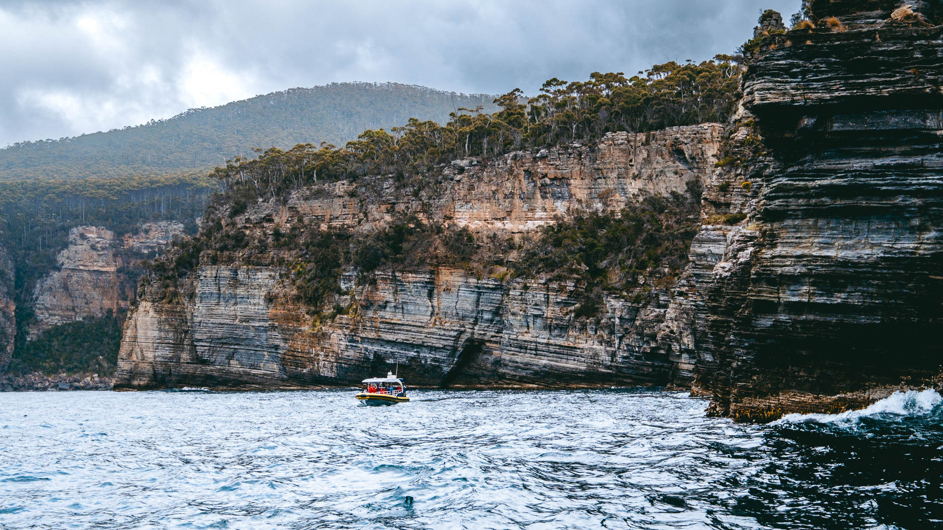 Cliff_Coastline_Tasmania_Tasman_Sea_Pennicott_Wilderness_Journeys
