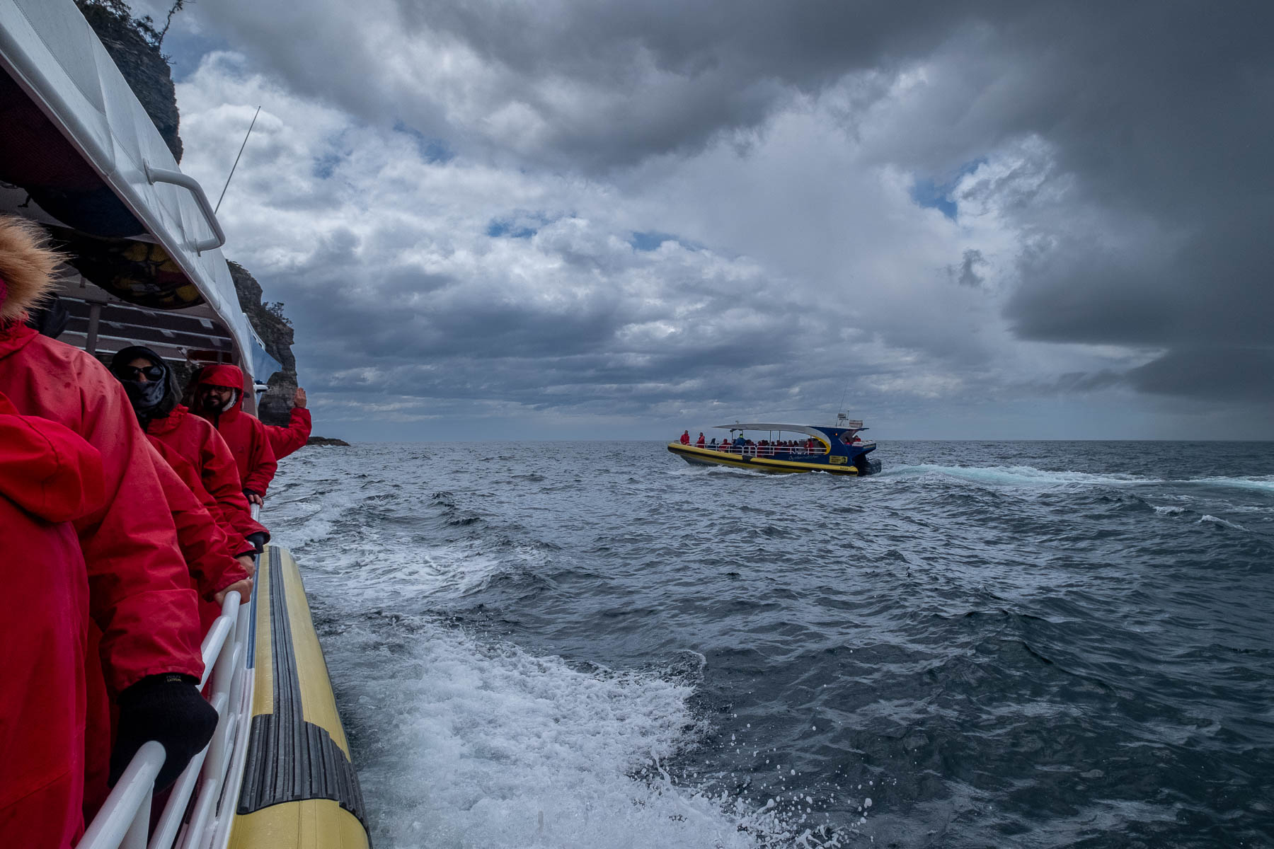 Pennicott_Wilderness_Journeys_Southern_Ocean_Tasmania