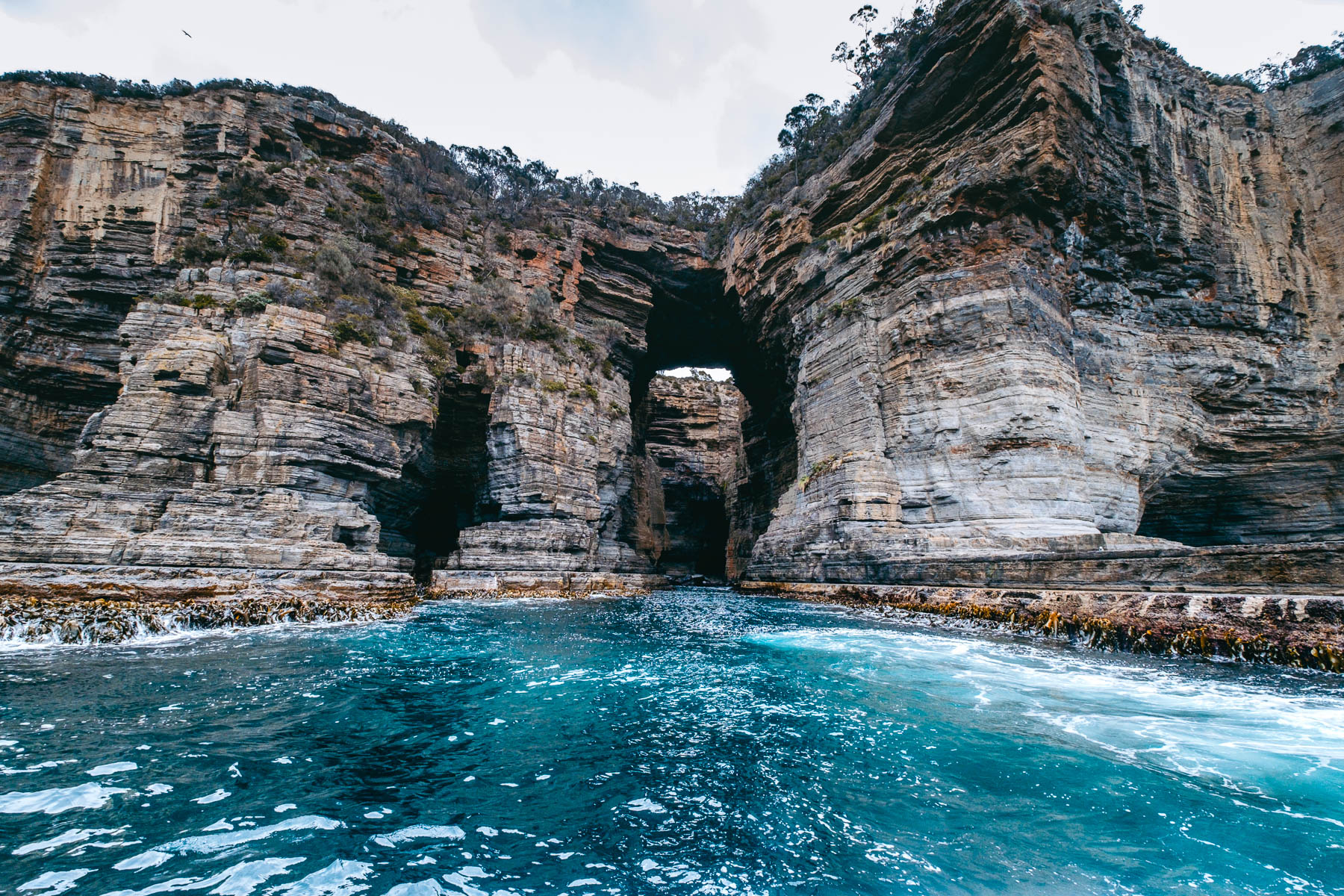 Caves_coastline_Tasman_National_Park_Tasmania_Pennicott_Island_Journeys