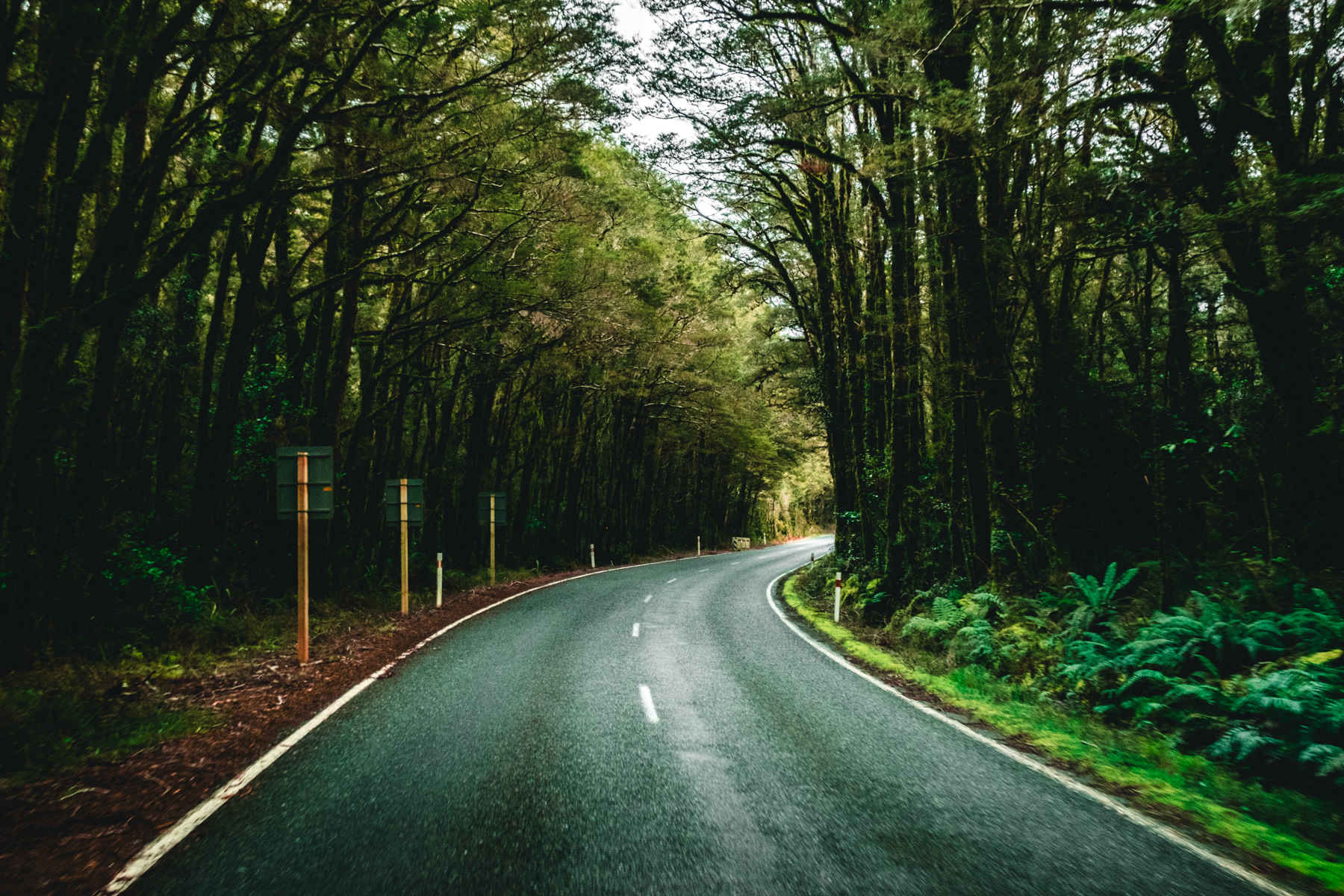 Te Anau, Milford, Highway, New Zealand