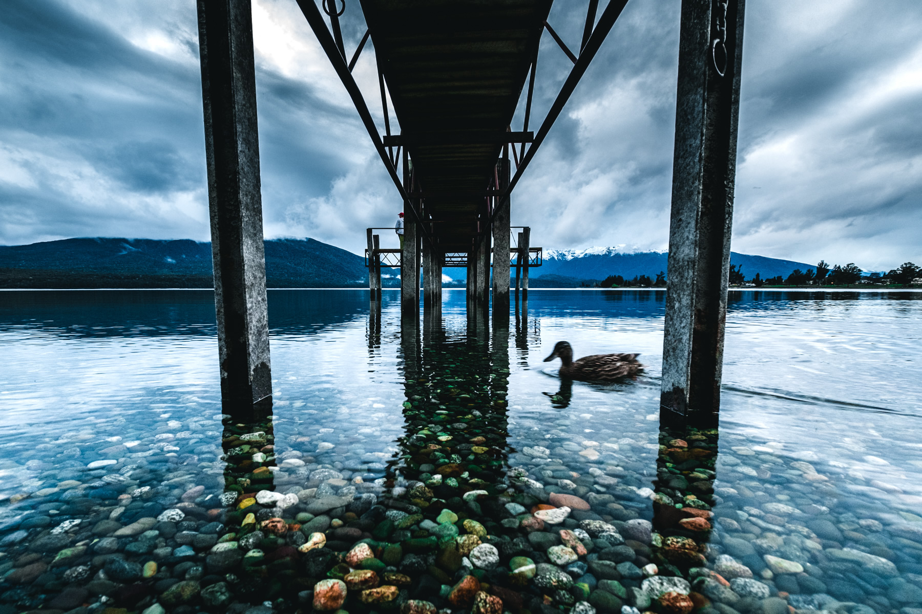 Te Anau, lake, jetty, pier, New Zealand, 