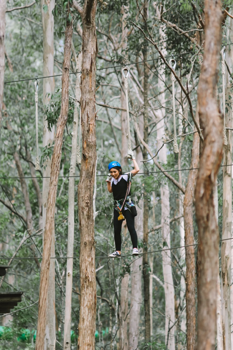 Mount Tamborine, TreeTop Challenge, Gold Coast, school holidays, 