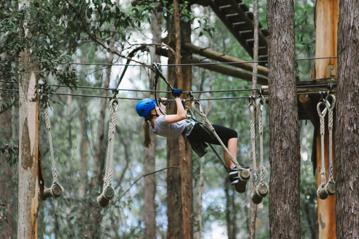 Mount Tamborine, TreeTop Challenge, Gold Coast, school holidays, 