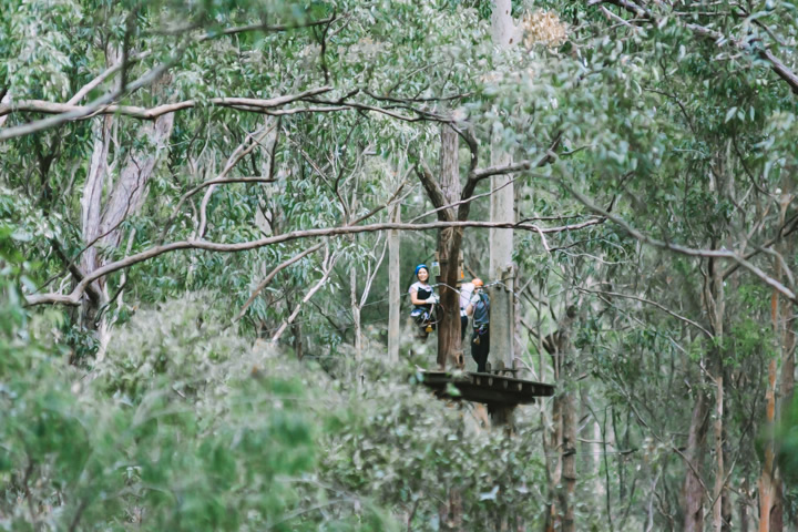 Mount Tamborine, TreeTop Challenge, Gold Coast, school holidays, 