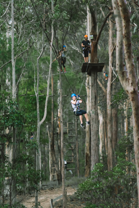 Mount Tamborine, TreeTop Challenge, Gold Coast, school holidays, 