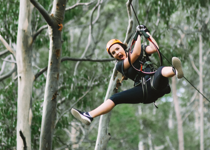 Mount Tamborine, TreeTop Challenge, Gold Coast, school holidays, 