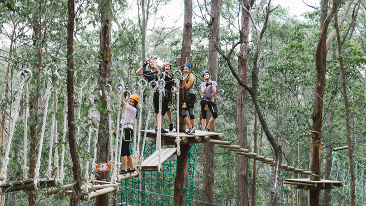 Mount Tamborine, TreeTop Challenge, Gold Coast, school holidays, 