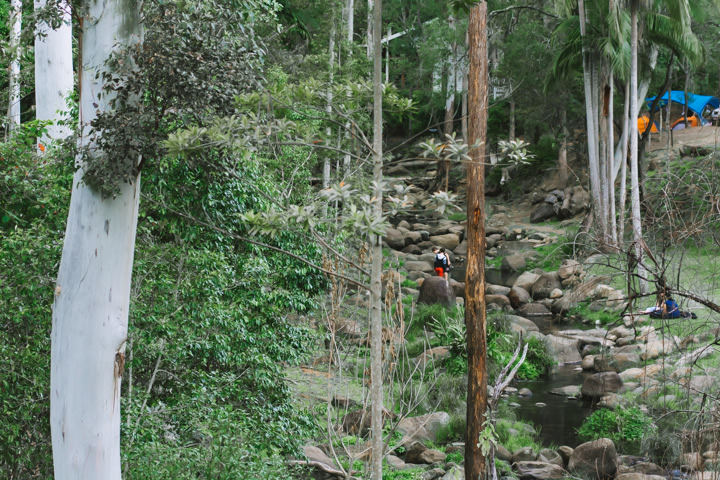 Mount Tamborine, TreeTop Challenge, Gold Coast, school holidays, 