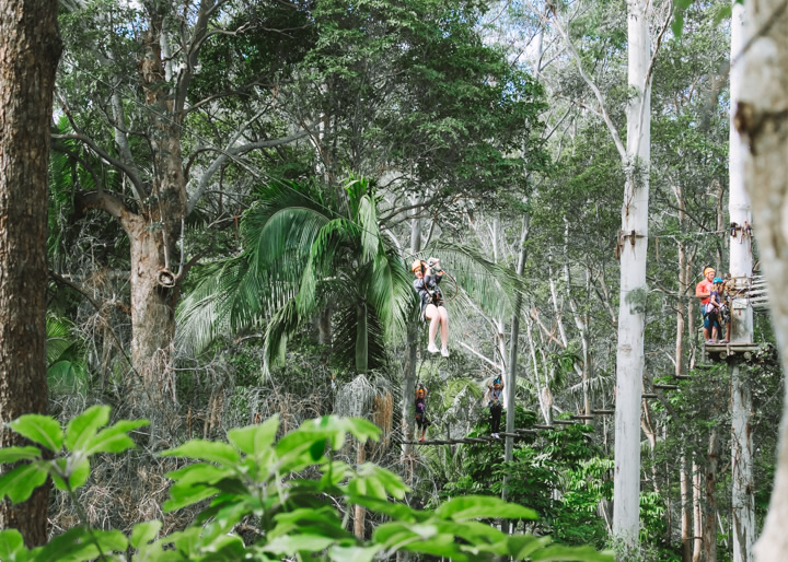 Mount Tamborine, TreeTop Challenge, Gold Coast, school holidays, 