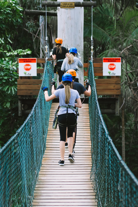 Mount Tamborine, TreeTop Challenge, Gold Coast, school holidays, 