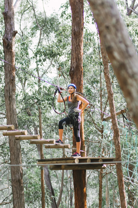 Mount Tamborine, TreeTop Challenge, Gold Coast, school holidays, 