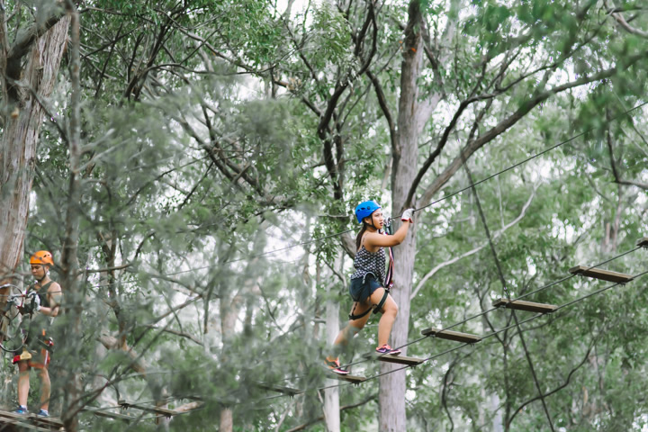 Mount Tamborine, TreeTop Challenge, Gold Coast, school holidays, 