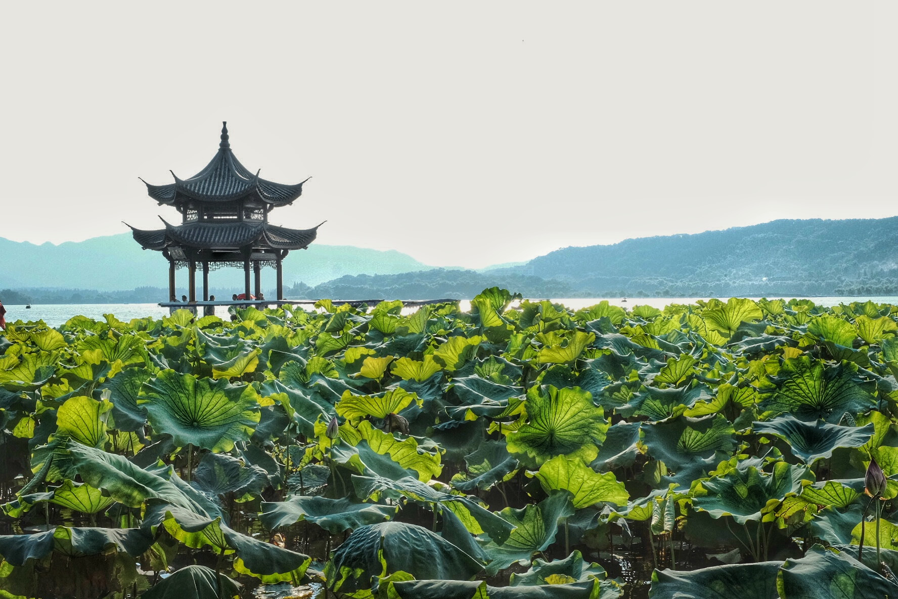 West Lake - Hangzhou